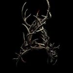 دانلود فیلم Antlers 2020